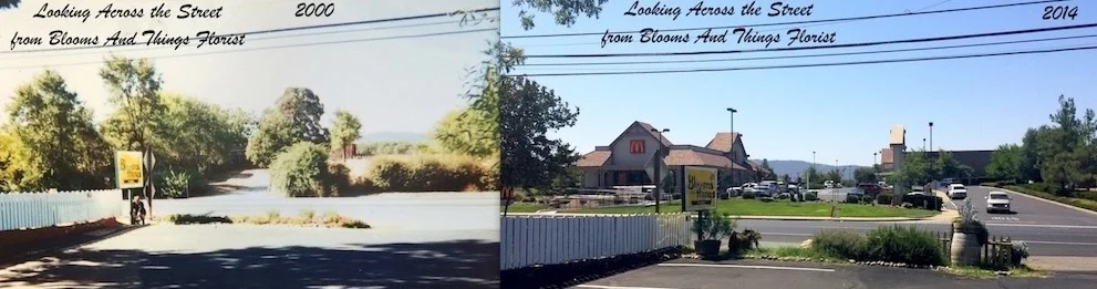 Two photos looking across the street from the shop: open land in 2000, and a busy shopping center with a McDonald’s by 2014