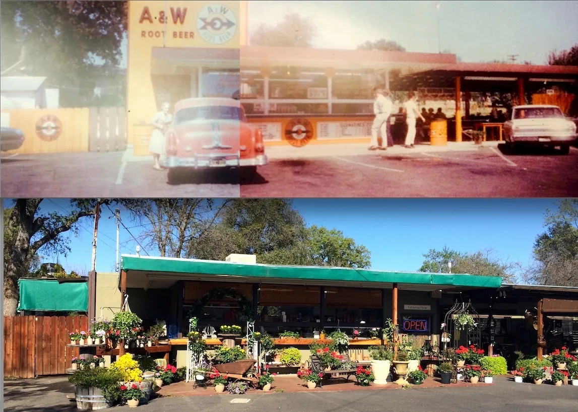 The A&W Root Beer drive-in in 1962 with vintage cars, above the same building as Blooms & Things covered in flowers in 2014