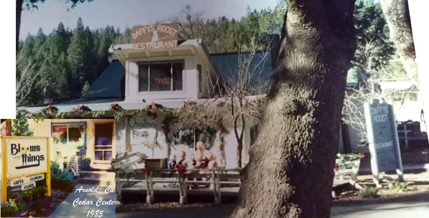 The first Blooms & Things shop beside Daffy’s Roost restaurant in Cedar Center, Arnold, 1985