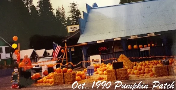 Pumpkin patch with hay bales outside the Junction Building shop, October 1990