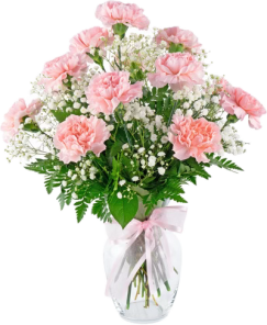 Dz Pink Carnations