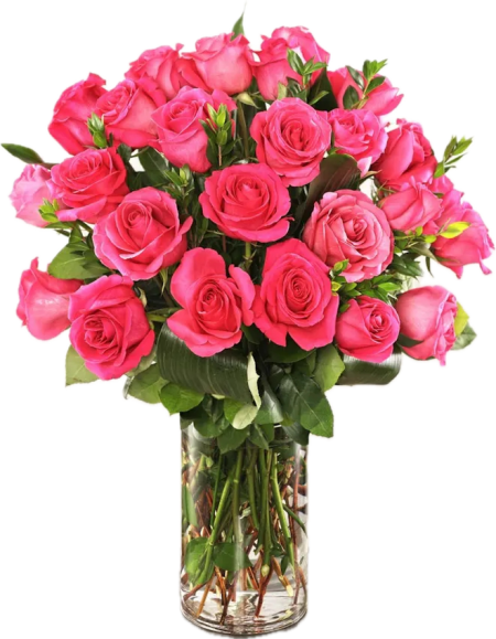 CANDY PINK ROSES