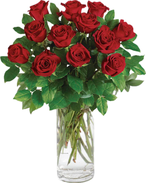 DOZEN RED ROSES