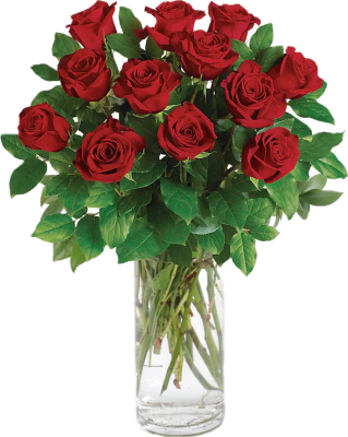 DOZEN RED ROSES