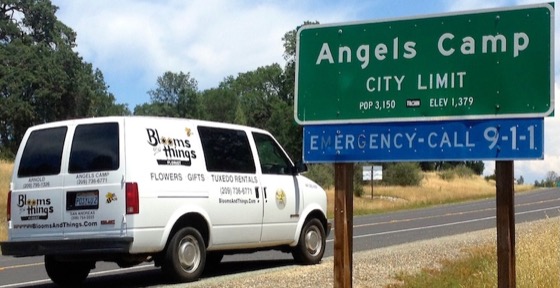 Blooms & Things delivery van at the Angels Camp city limit sign