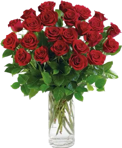 2DZ Red Roses
