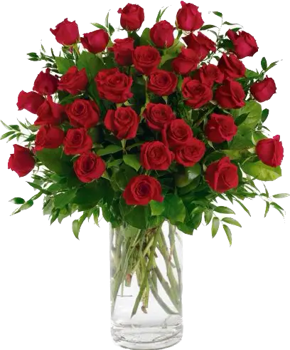 3-DZ Red Roses