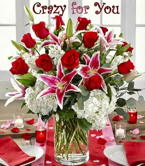 Crazy For You