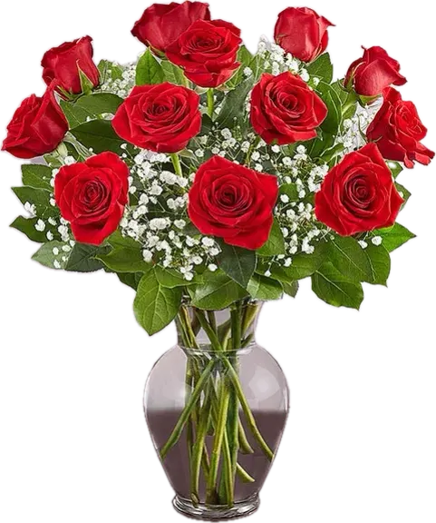 DOZEN RED ROSES