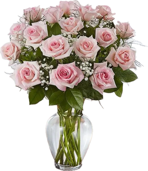 PINK ROSES