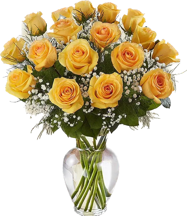 Yellow Roses