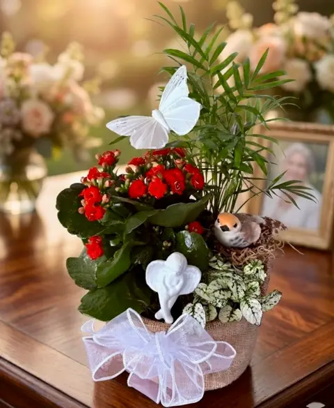 Kalanchoe Planter