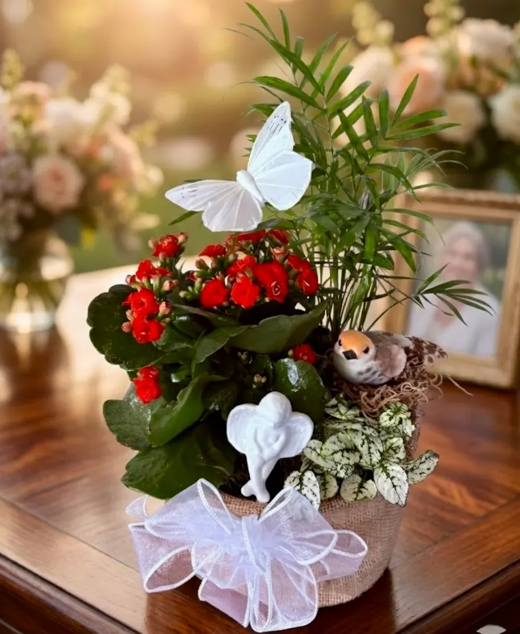 Kalanchoe Planter