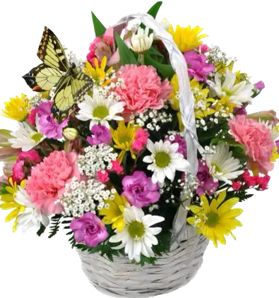 Butterfly Basket