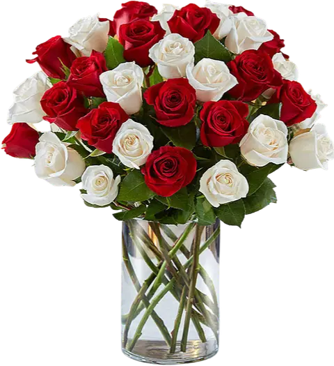 White & Red Roses