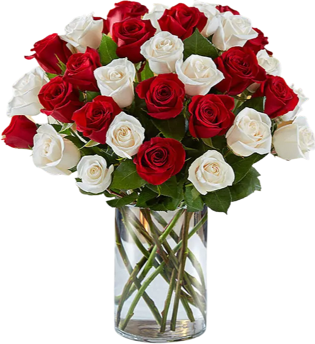 White & Red Roses