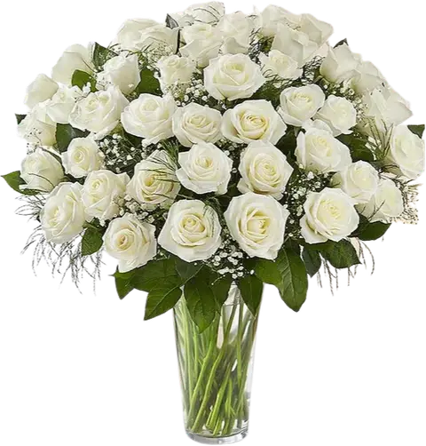 White Roses