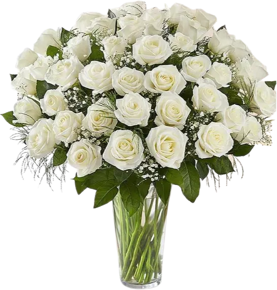 White Roses