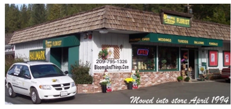 The Blooms & Things florist storefront at the Apple Wood center in Arnold, California, 1994